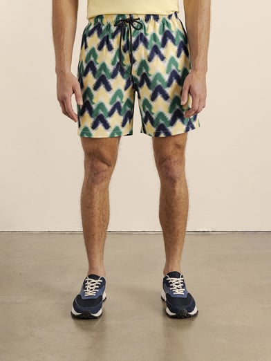 Mens Printed Beach Shorts